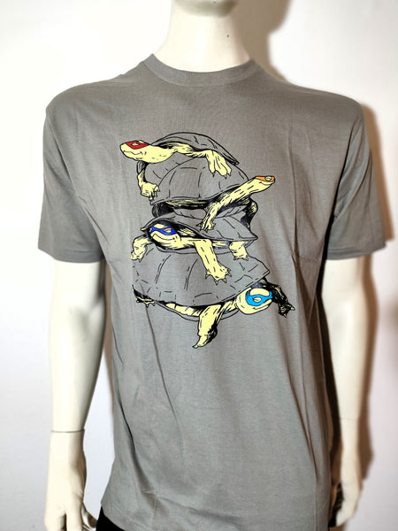 Turtles
