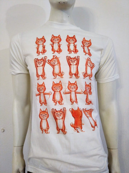 Cat Gymnastics - Nili`s