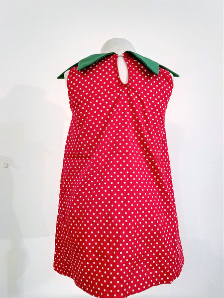 Kids Dress Strawberry - Nili`s
