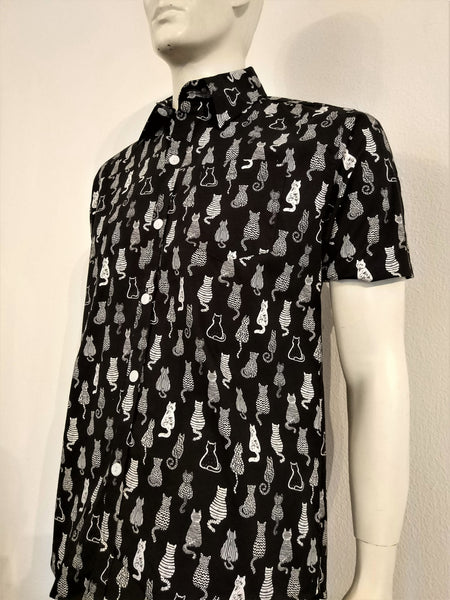 Cats Backs - Nili`s