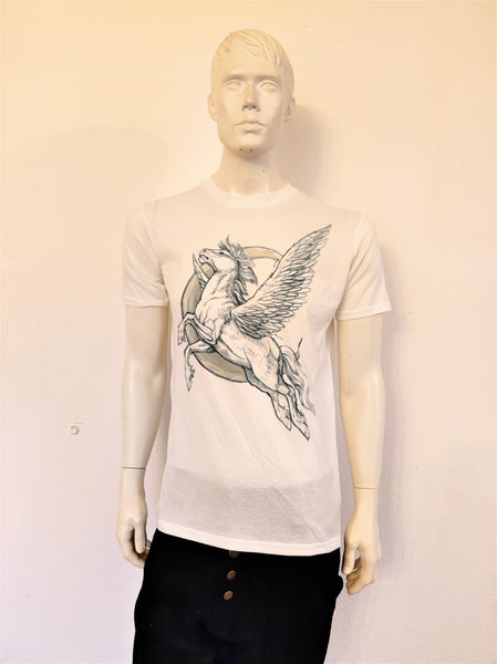 Pegasus
